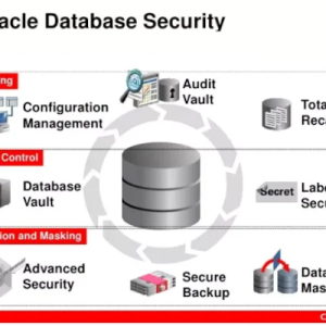 Oracle Database Security