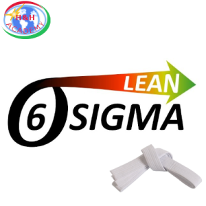 Lean: Six Sigma White Belt